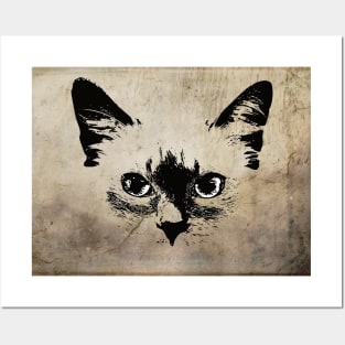 Ragdoll Kitten Posters and Art